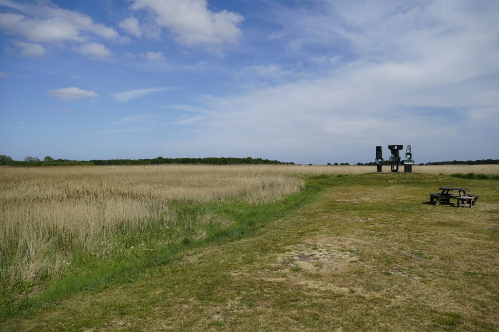 A photo shows the landscape at Snape Maltings, with green/yellow reeds, a blue and cloudy sky, a picnic bench and a sculpture in the distance. 