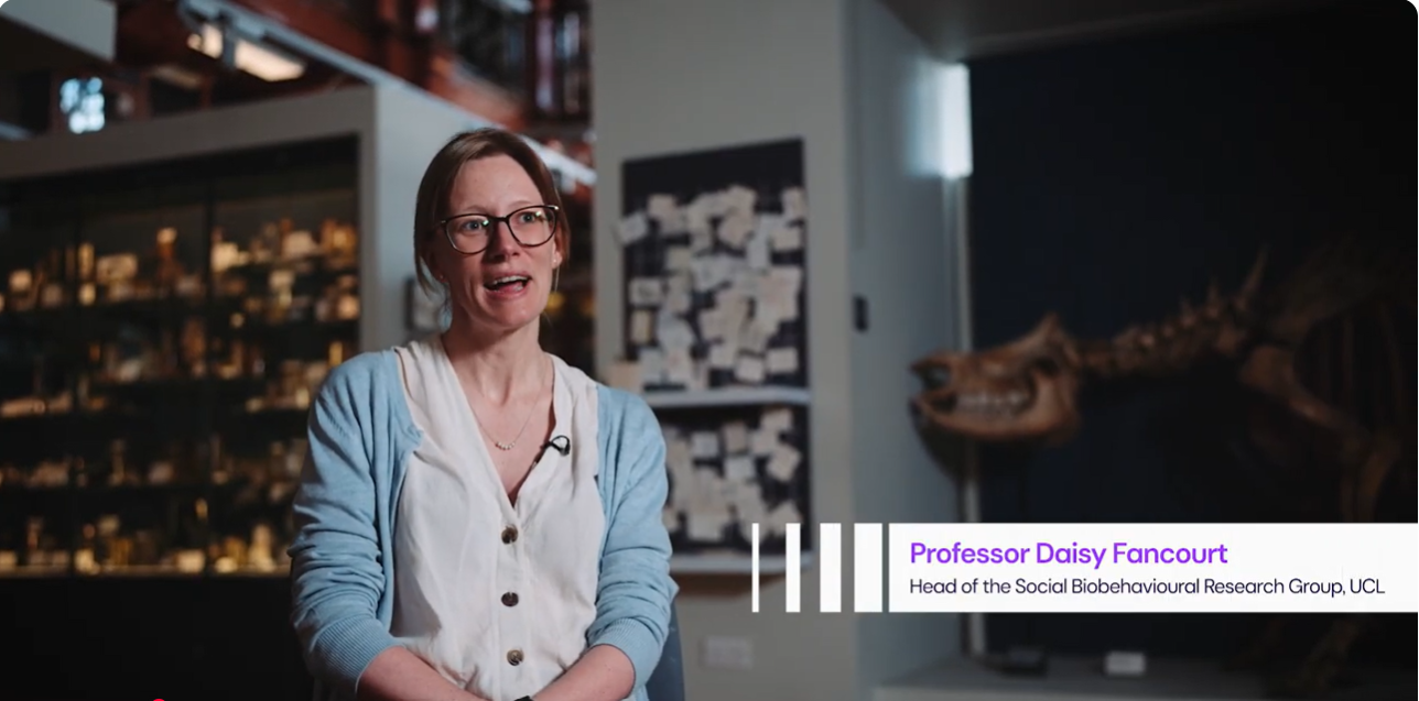 A video thumbnail shows Prof Daisy Fancourt speaking to camera.