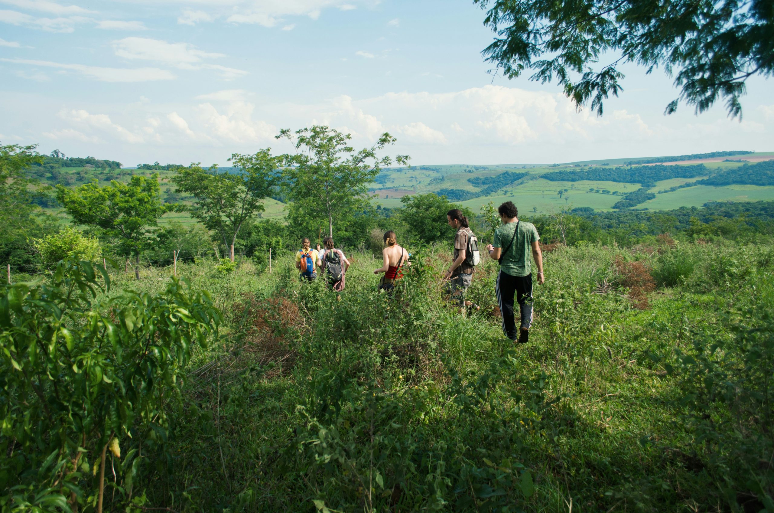 A photo of people hiking on green hills